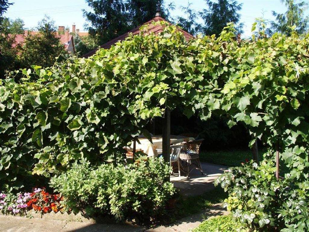 Pallosi Haz "A" Sárvár Buitenkant foto
